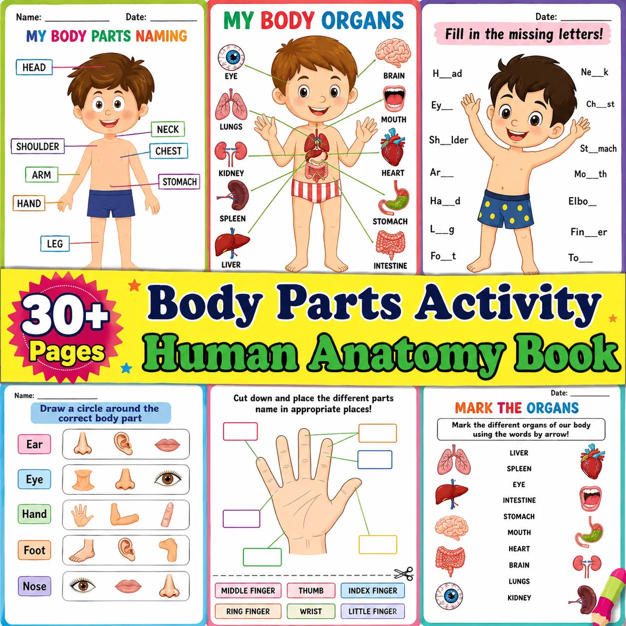 Body Parts Activity Book for Kids | 30+ Worksheets | Human Anatomy Learning, Matching & Practice for Homeschool